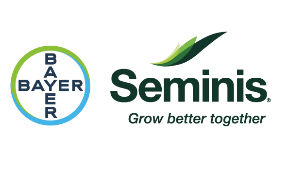 BAYER SEMINIS BAYER SEMINIS